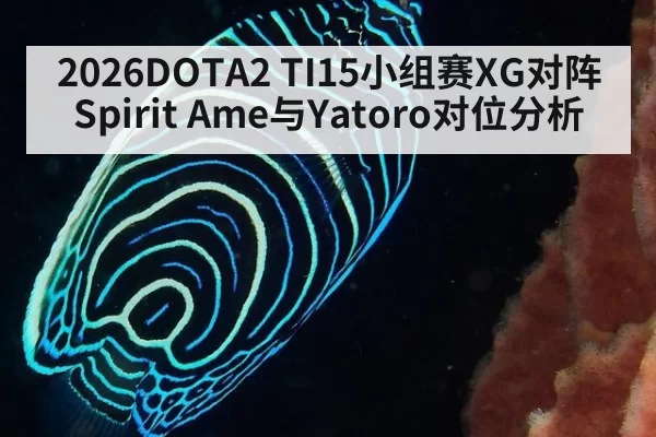 2026DOTA2 TI15小组赛XG对阵Spirit Ame与Yatoro对位分析